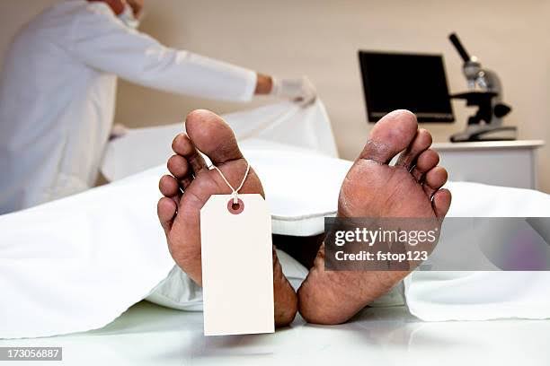 Niger Miners’ Deaths: Mortician Disputes Government’s Figure, Says Mortuary Received 33 Corpses, Not 37