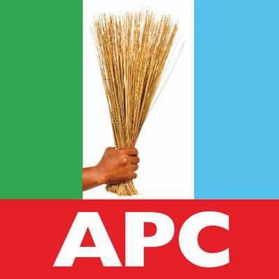 Edo LG Poll: Kingsley Ugabi, Charles Dagana Running Mate, Itseuwa, Akhaba Cast Their Votes in Etsako East