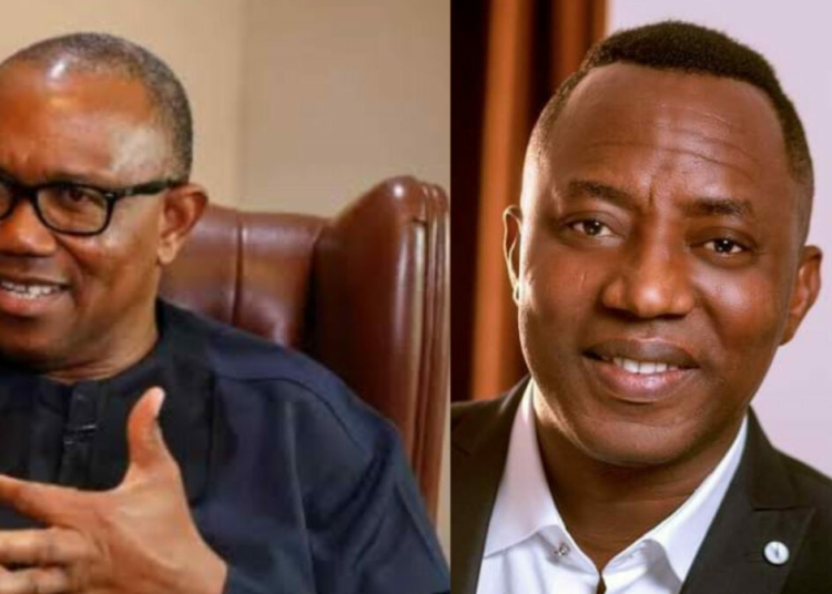 Sowore Blasts Obi, Accuses NDC Leaders Of Raking In ₦9bn From Nomination Forms