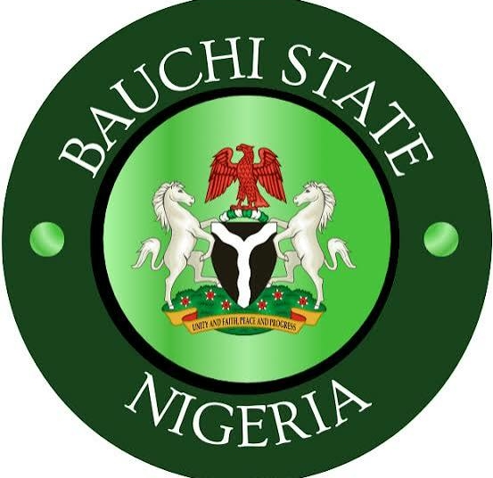 Bauchi Police Arrest Two Suspects Over Deaths Of Two Children
