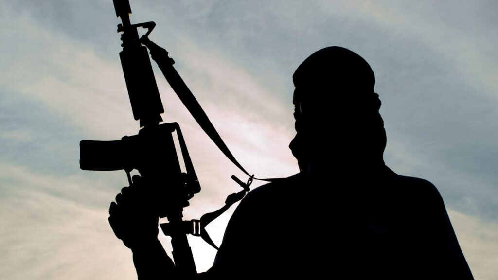 Women Now Key To Terrorists’ Logistics, Intelligence Network – Security Expert