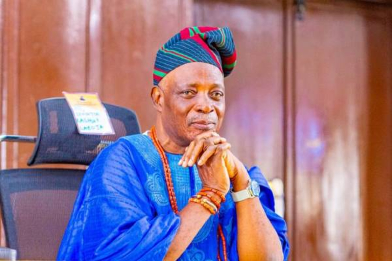 You'll Be Held Responsible For Security Breaches In Your Domain – Olubadan Warns Mogajis