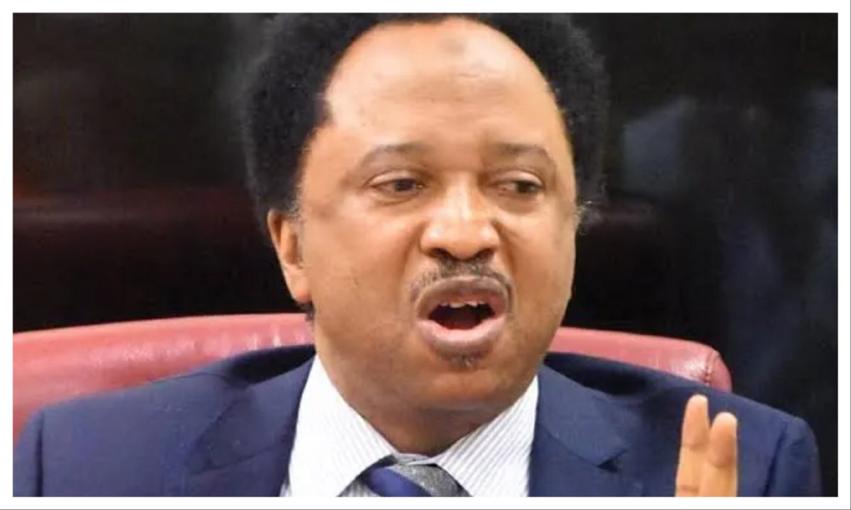 Osun Election: Opposition Angry Gov Adeleke Thanked Tinubu For Victory – Shehu Sani